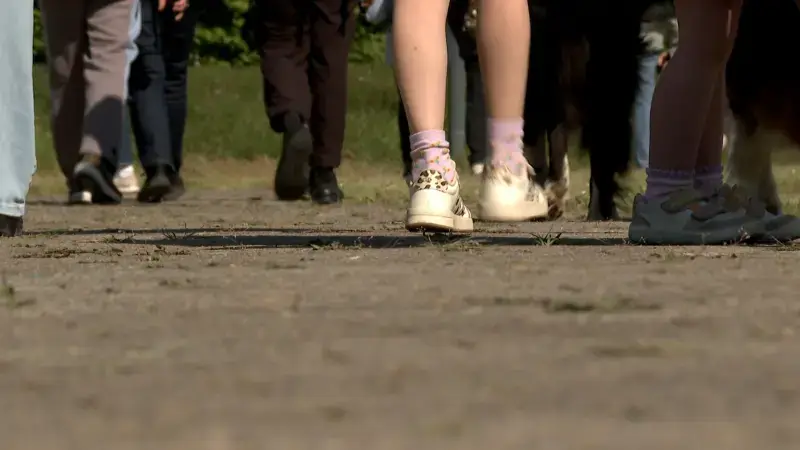 Vlaams-Brabant organiseert vanaf 18 oktober drie wandelzondagen in onze regio