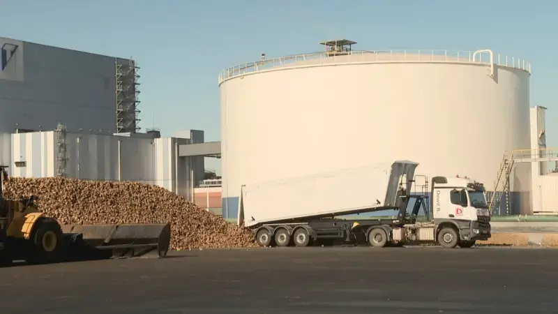 Suikerfabriek werkt aan gigantisch batterijpark: "Fabriek voeden en evenwicht op elektriciteitsnet bewaren voor de ganse regio"