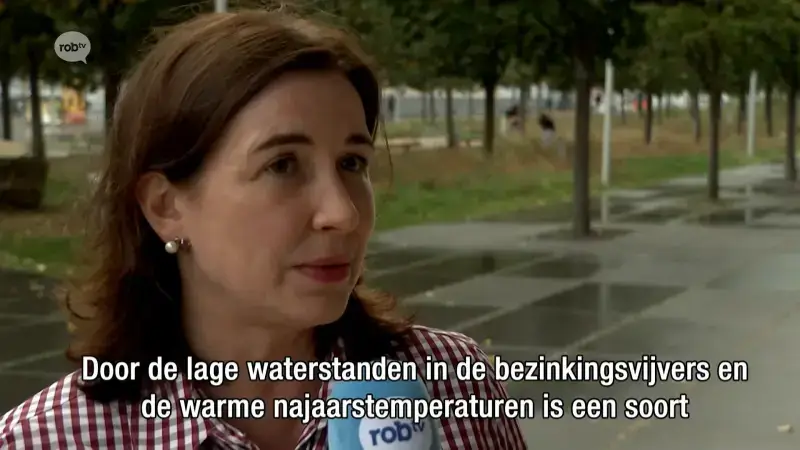 Nieuws donderdag 8 oktober