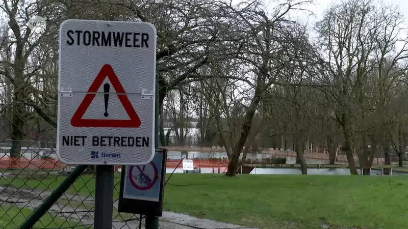 Morgen storm voorspeld in onze regio: "Wind kan snelheden halen tot 80 kilometer per uur en er zal ook veel regen vallen"