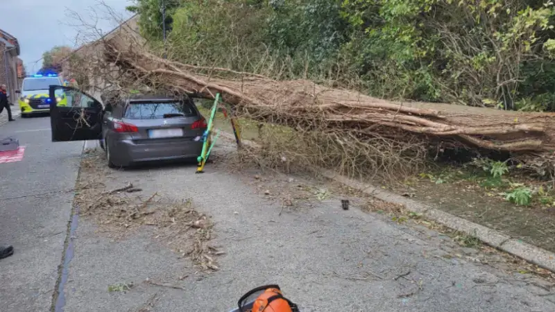 Storm Austen veroorzaakt hier en daar problemen: rijdende auto wordt geraakt door omvallende boom