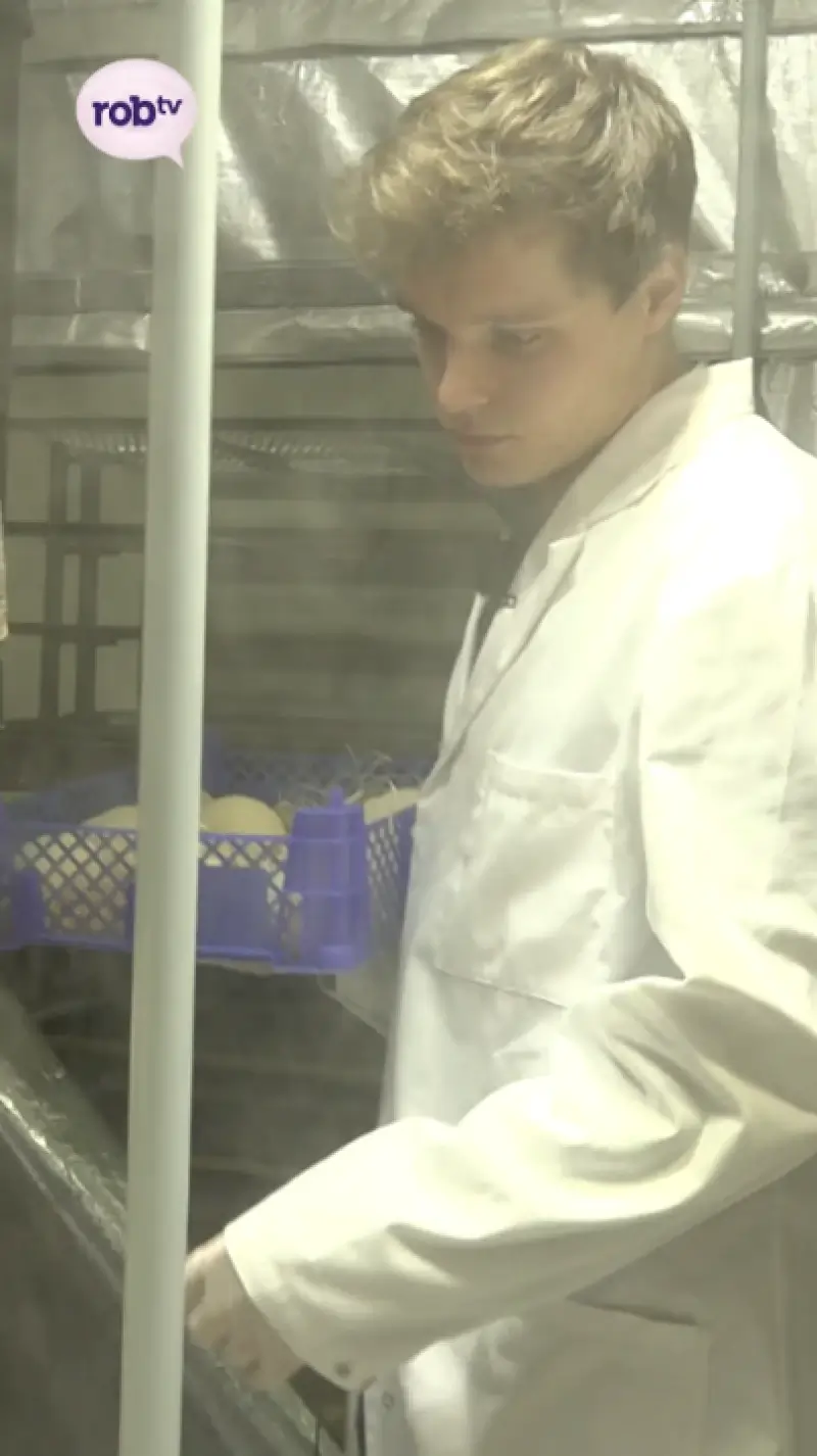 Paddenstoelen op citadel van Diest!