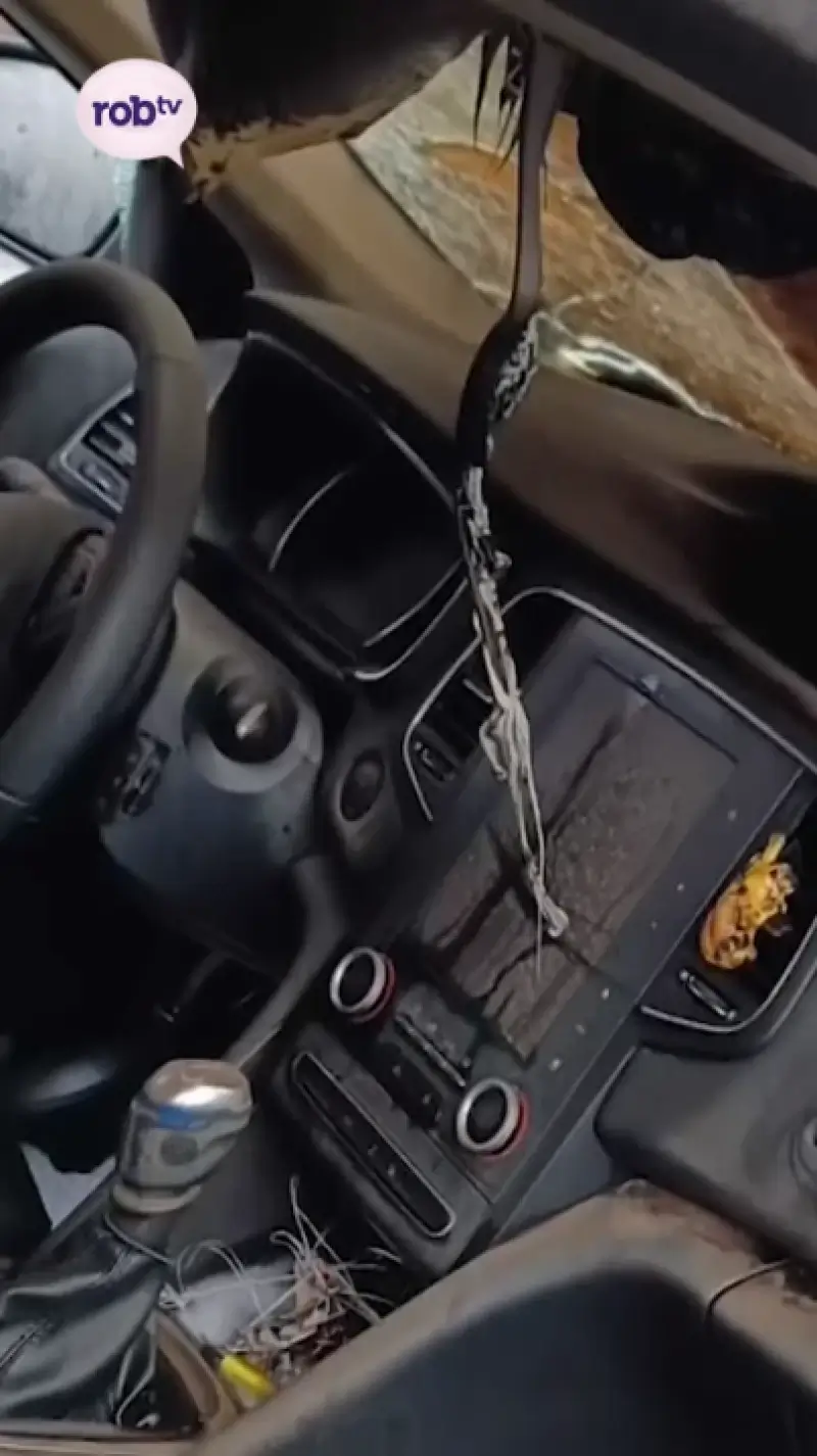 Tot 5 jaar cel voor brandstichters