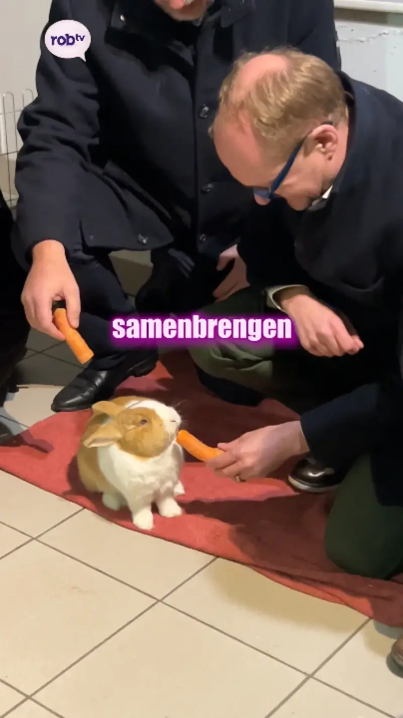 Ben Weyts vraagt aandacht voor konijnen ter adoptie