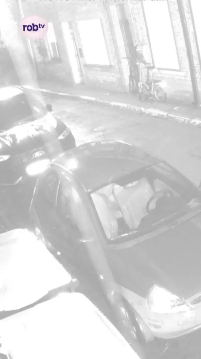 LUIDE KNAL in Kessel-Lo