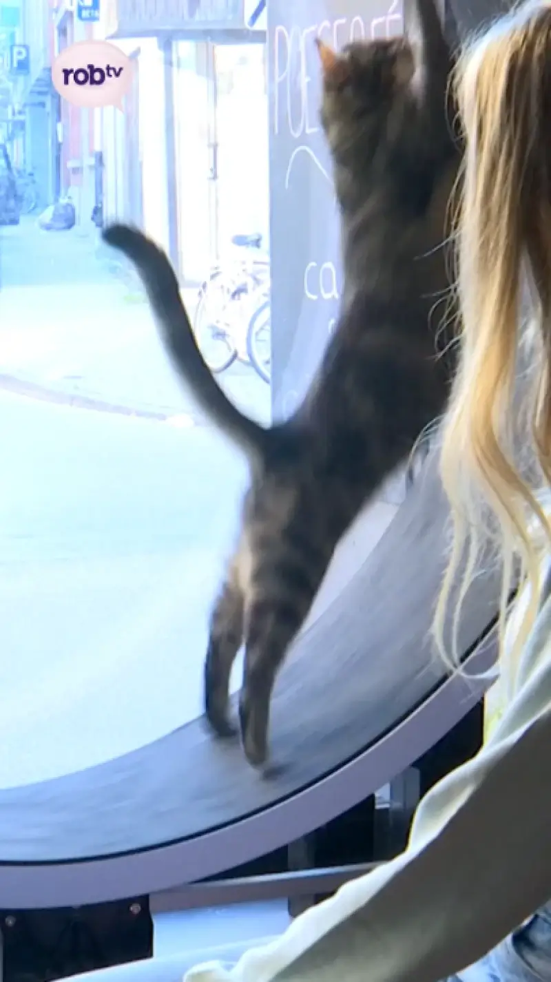 Poescafé in Leuven sluit de deuren.