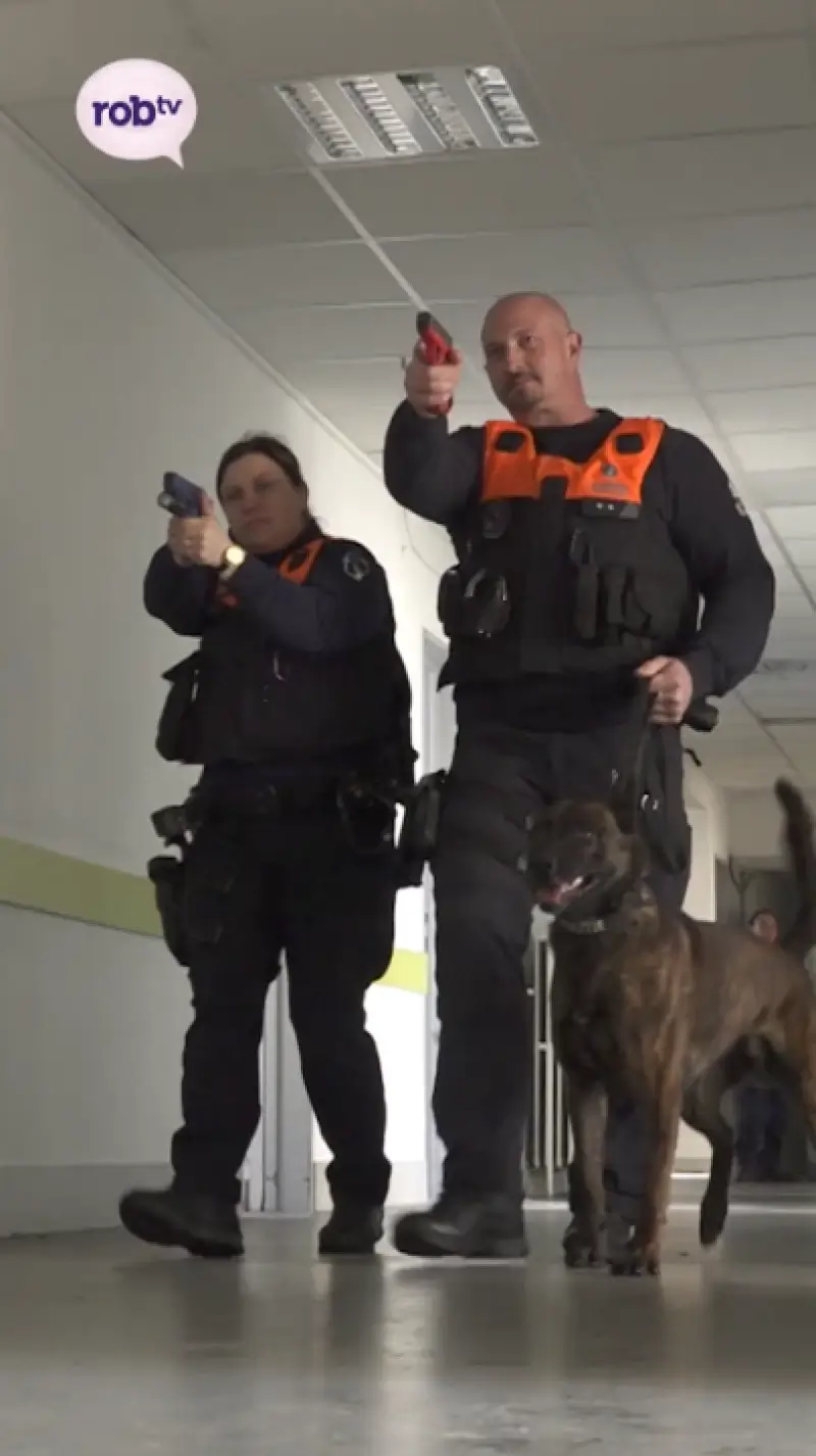 Hondenteams trainen in leegstaand ziekenhuis!