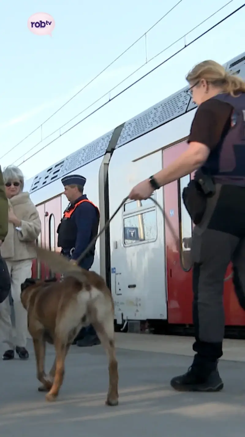 Controleactie in Tienen