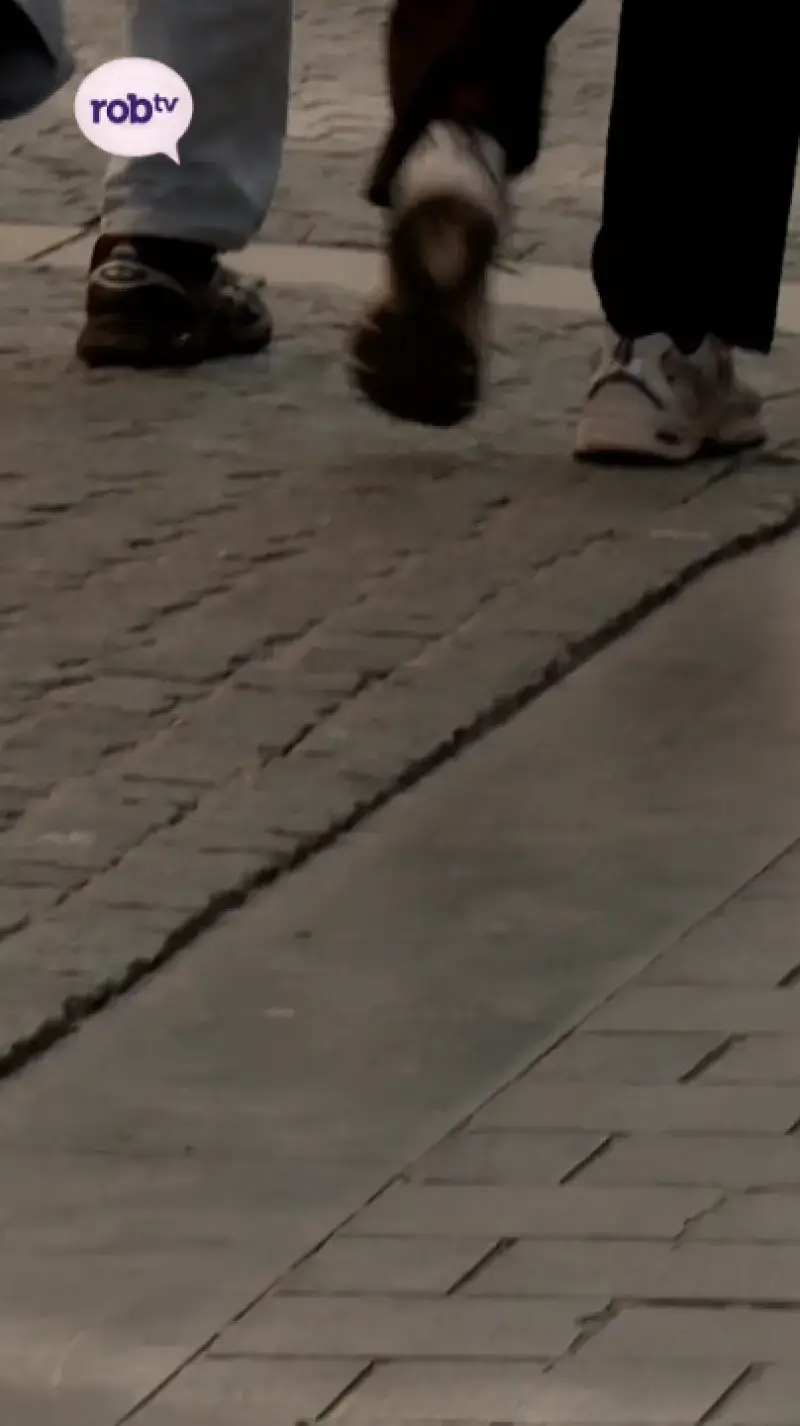 Diefstal met geweld in Leuven