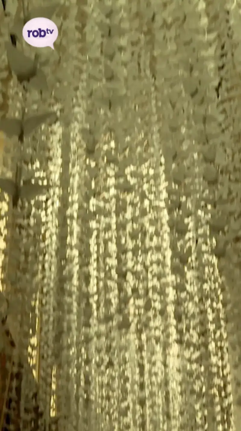 21.000 kraanvogels in Sint-Michielskerk