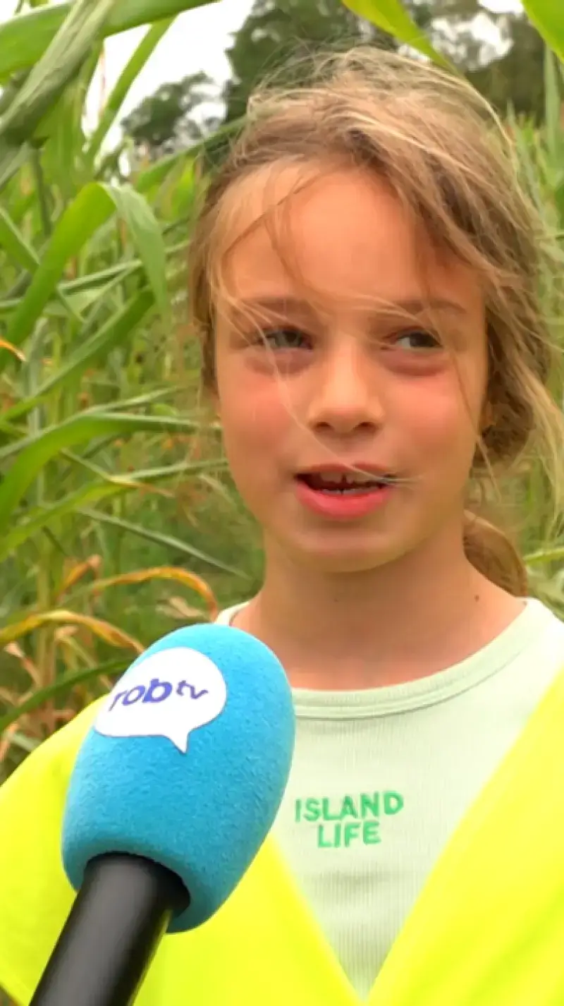 Maïsdoolhof in Scherpenheuvel!
