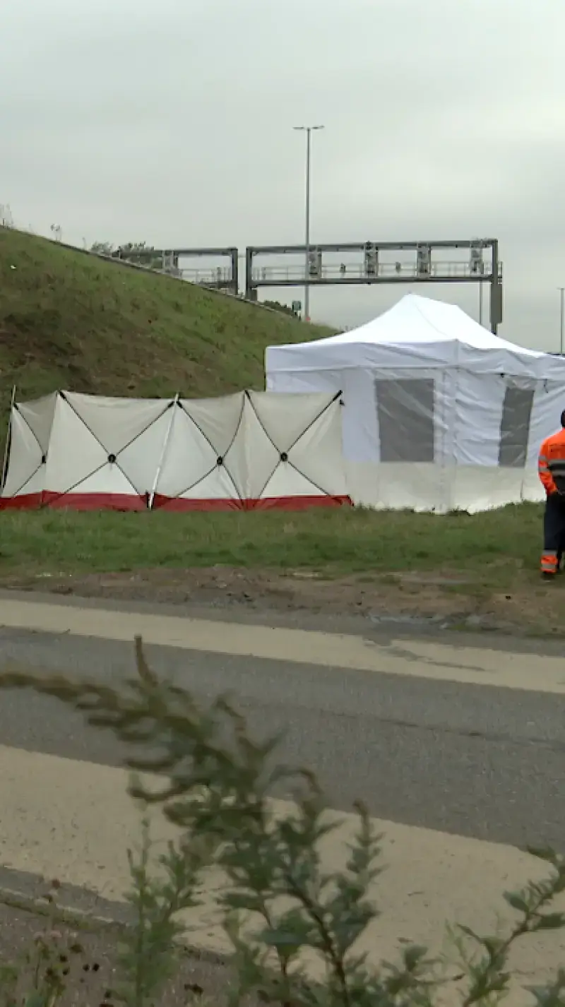 Man verongelukt aan brug over de snelweg in Rillaar
