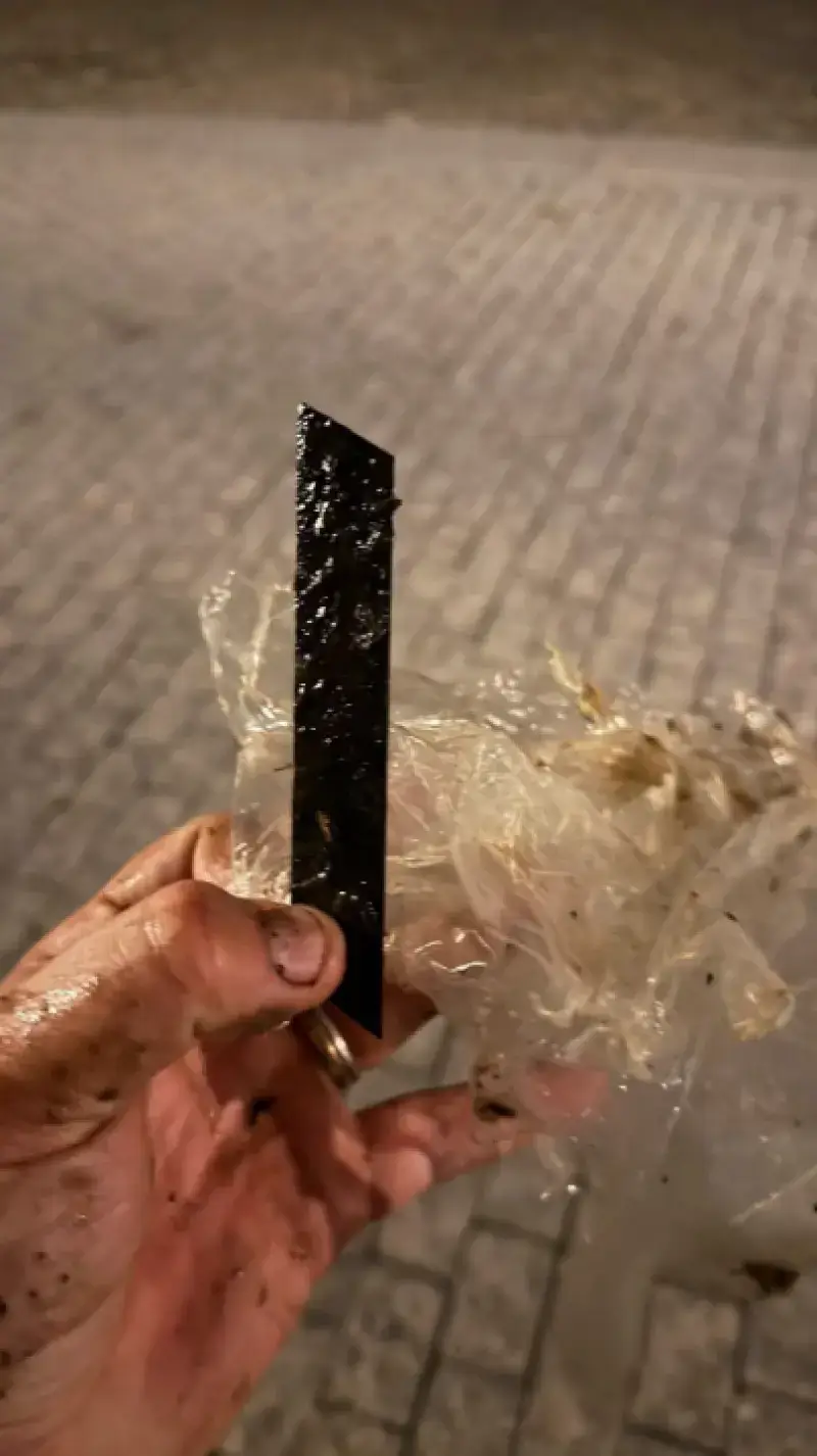 Worst met ... mes is bijna fataal voor hond in Hoegaarden
