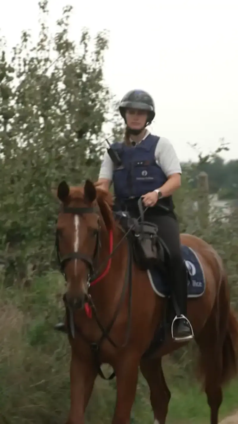 Politie te paard!