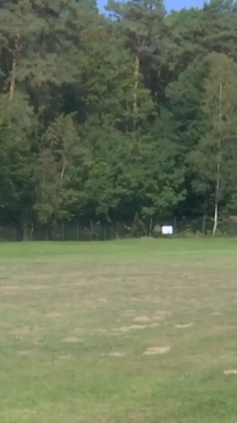 Zo werkt DOVO in Oud-Heverlee!