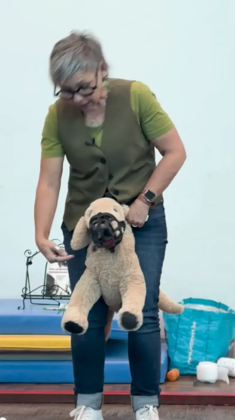 EHBO voor dieren!