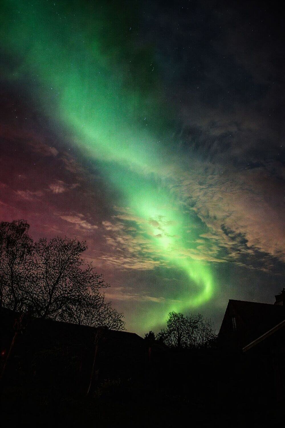 <i>Johan Pelgrims, Begijnendijk</i>