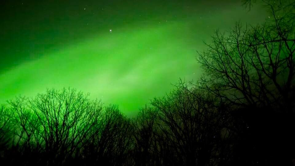 <i>Audrey Van den Bogaert, Blanden</i>