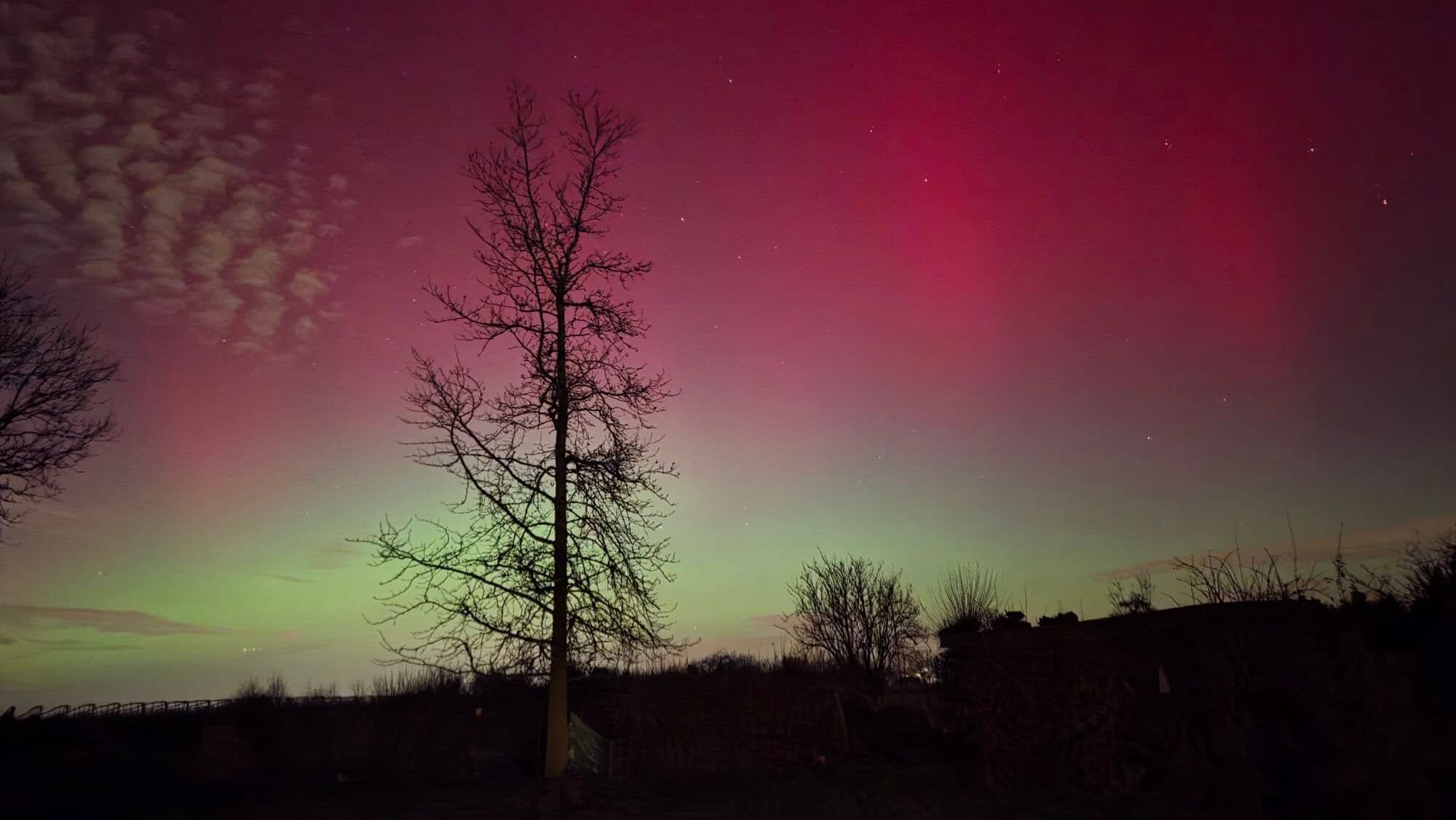 <i>Gerrit De Saedeleir, Opvelp</i>