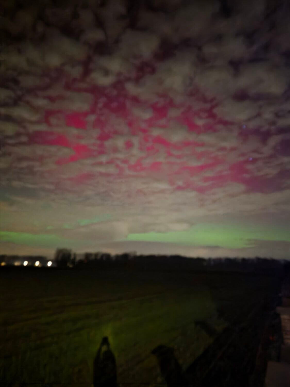 <i>Anne Rummens, Hoeleden</i>