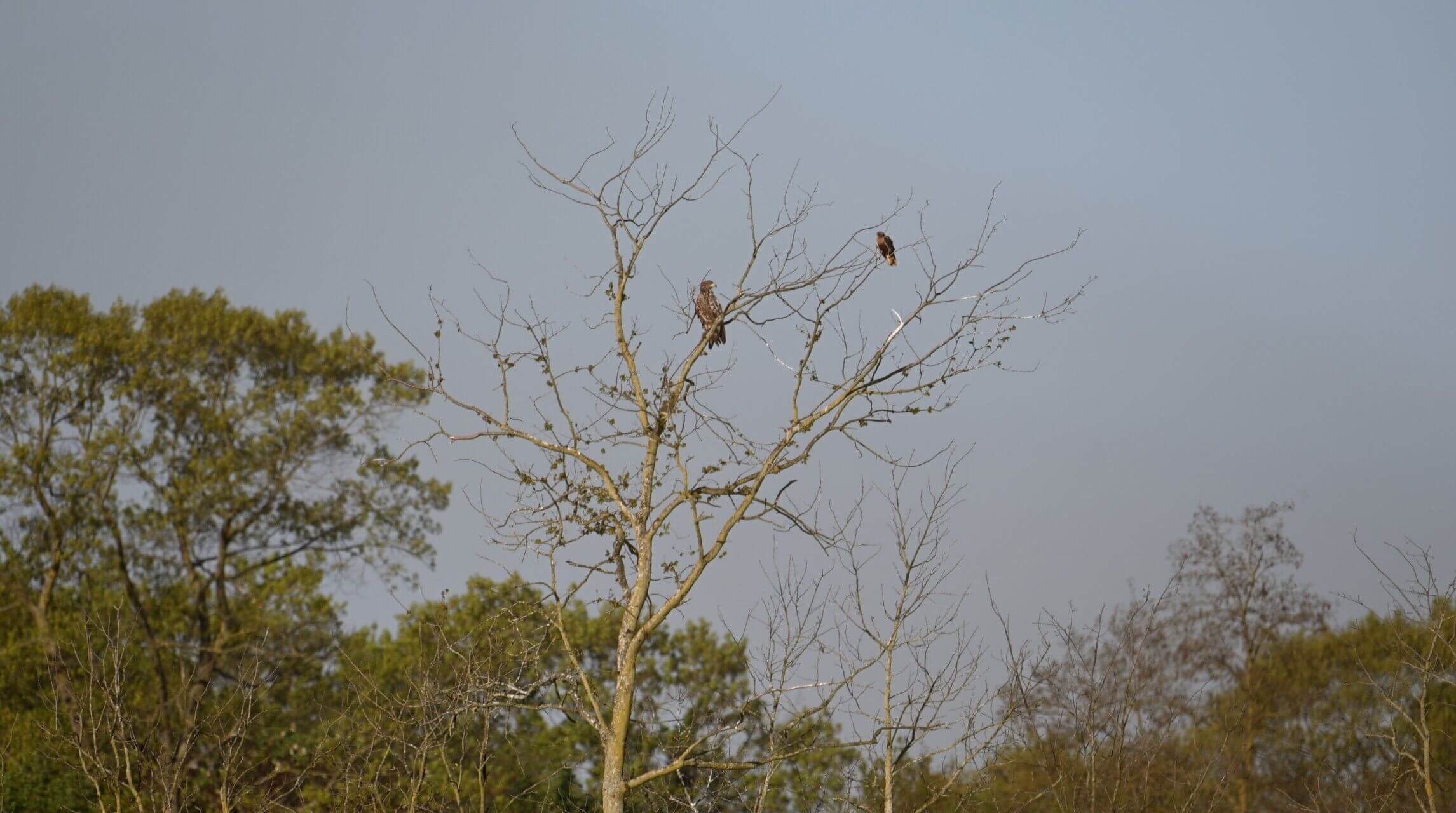 <i>Beeld: Chris Van Brabant</i>