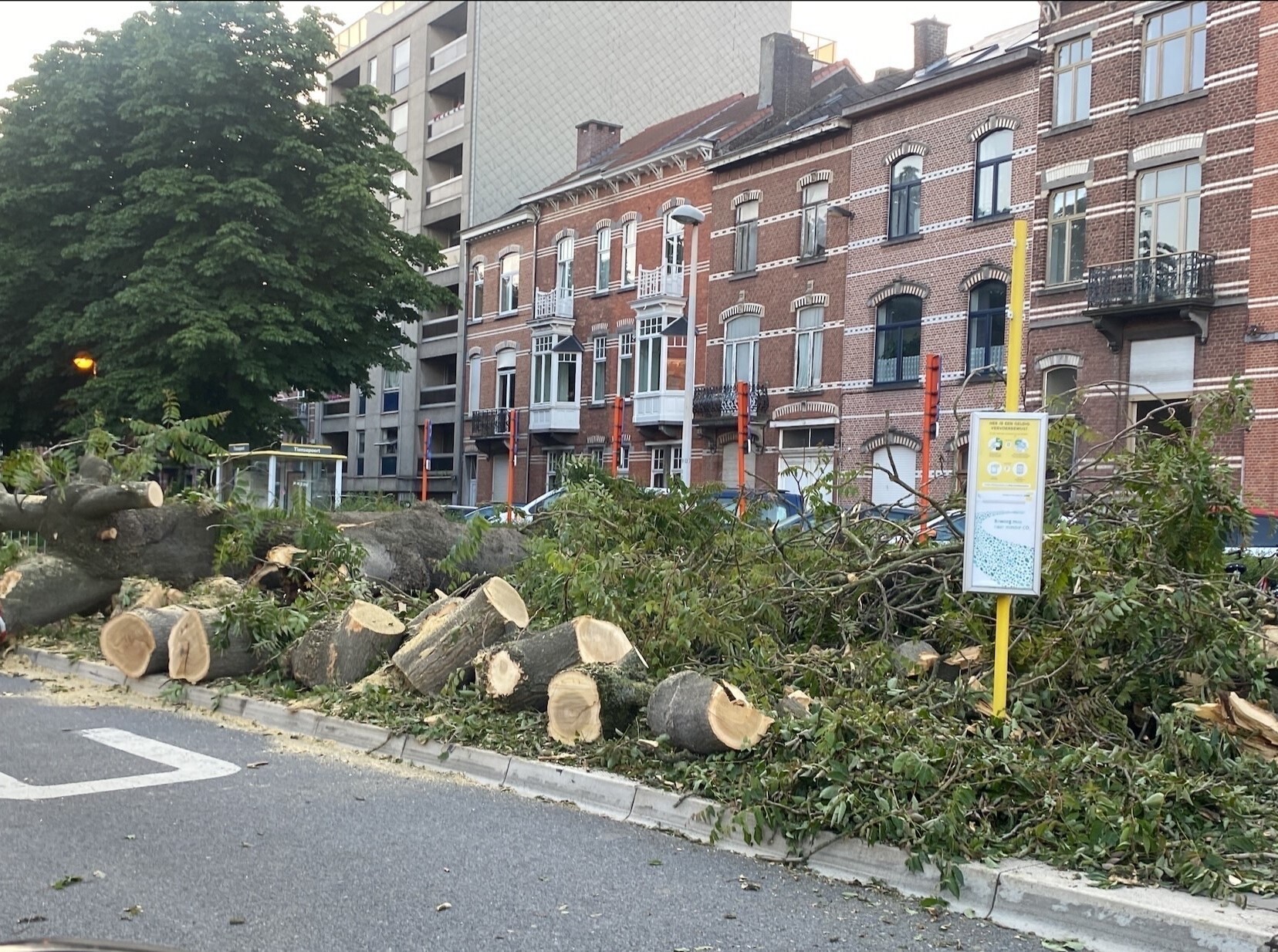 Omgevallen boom Tiensevest 24062024 - PZ Leuven - 2.jpeg