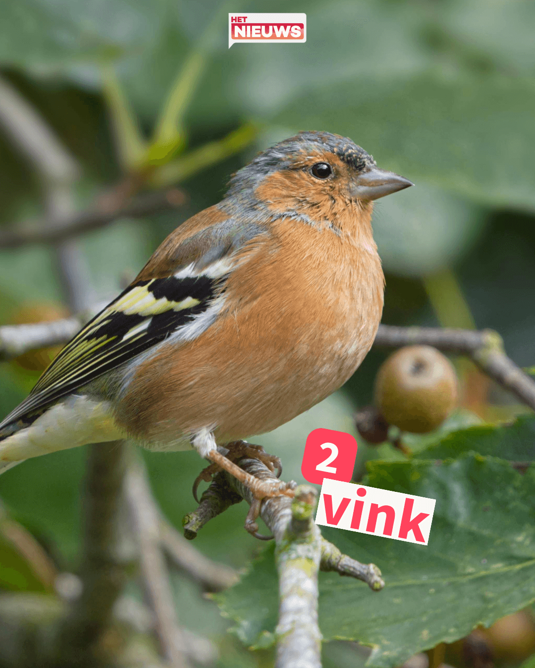 Instagram post-4 (1).png