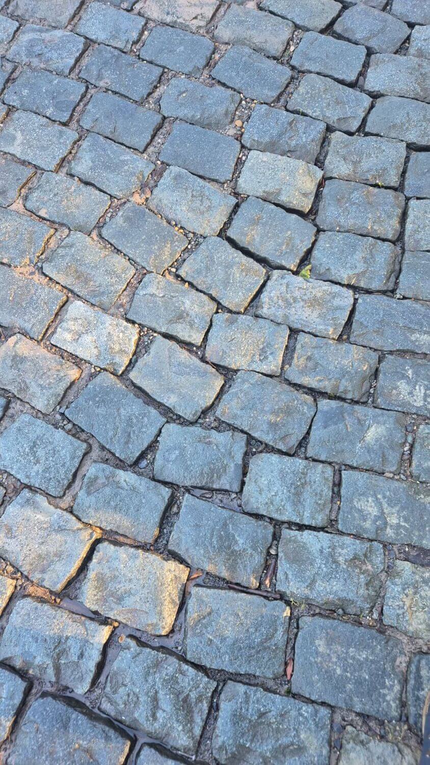 WhatsApp Image 2026-01-16 at 11.16.12.jpeg