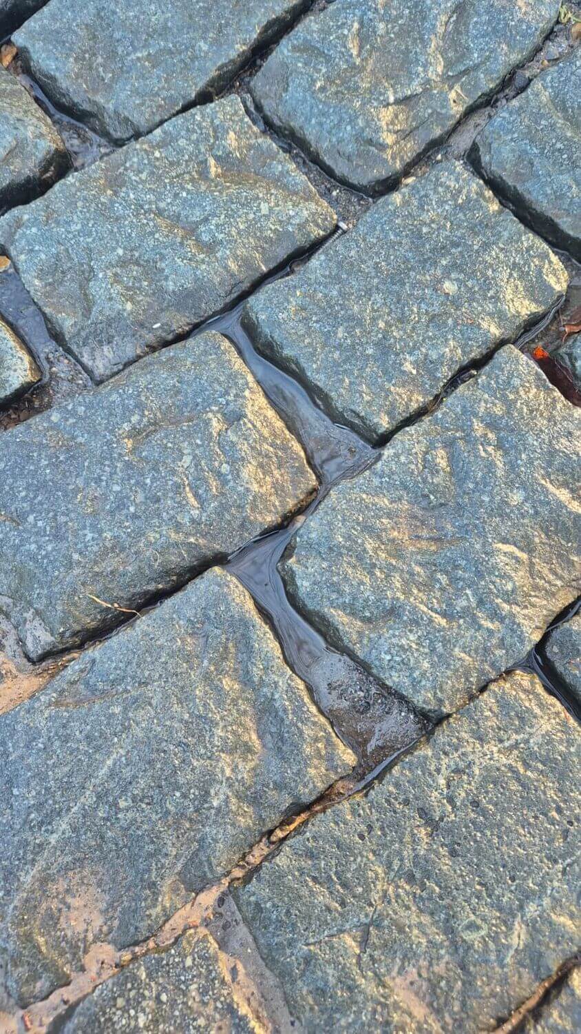 WhatsApp Image 2026-01-16 at 11.16.16.jpeg